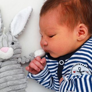 Levi Jeremiah Harivelo