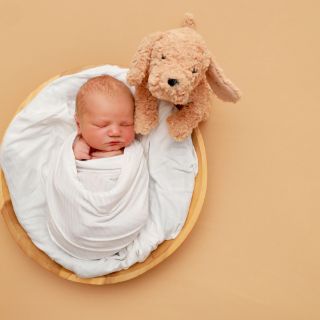 Noah
