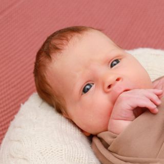 Noa Merel