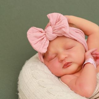 Amalia Rose