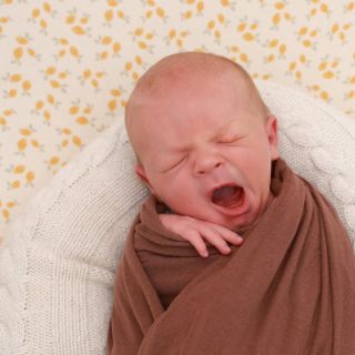 Levi Noel