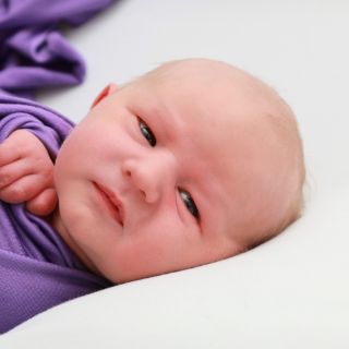 Elio