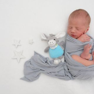 Noah
