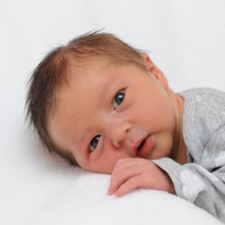 Levi Aaron