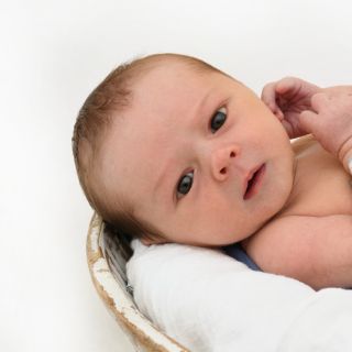 Theo Otto
