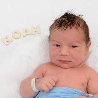 Noah Alexander