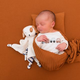 Noah Elijah