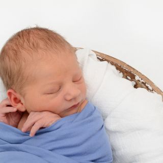 Maximilian