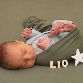 Lio