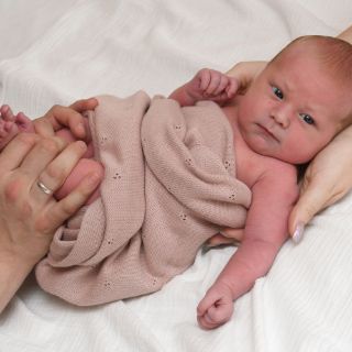 Eloise