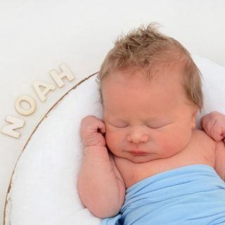 Noah Alexander