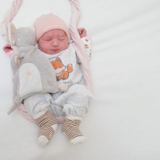 Frieda Marleen