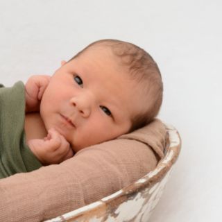 Louis Emil