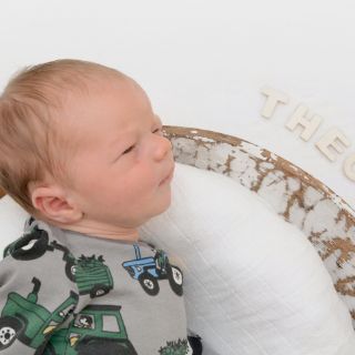 Theo