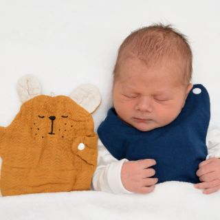 Levi