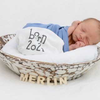 Merlin
