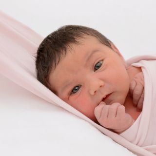 Darina