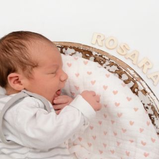 Rosara