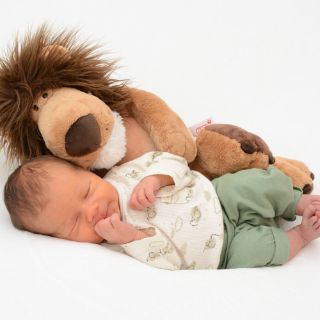 Vincent Emil