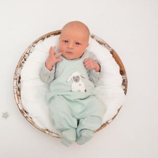 Theodor