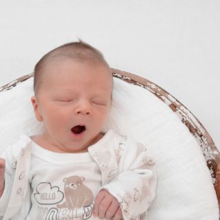 Noah Lionel