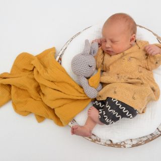 Elea Charlotte