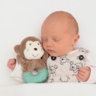 Noah