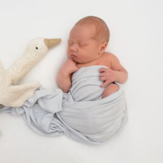 Hannes