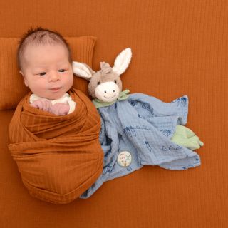 Linus