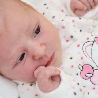 Amelia Joy