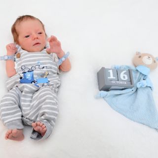 Fin Maximilian