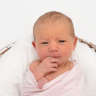 Carlotta