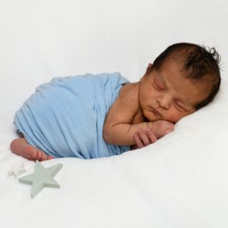 Darwin Leo