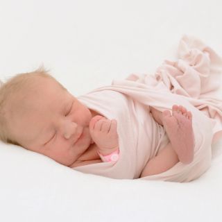 Melia