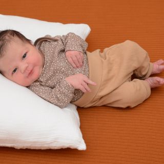 Amira