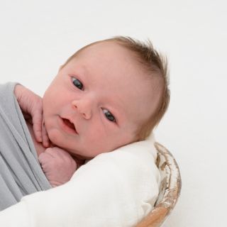 Theo