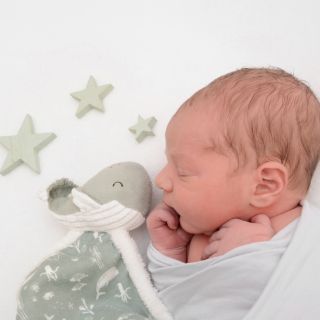 Finn