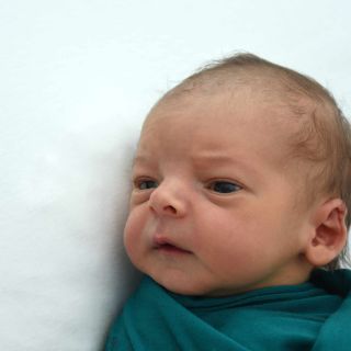 Eneas
