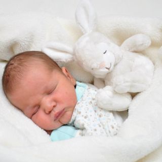 Constantin-Noa Wolter