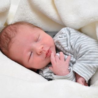 Liam Leon Stiller