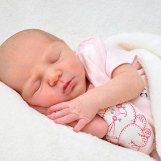 Amy-Lynn Ortel