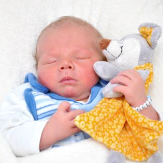 Finn Luca