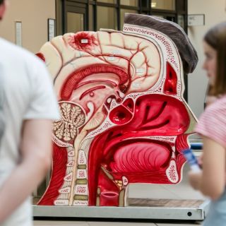 Gesundheitstag Neuromedizin 2018
