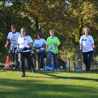 Bild: Nordic Walking