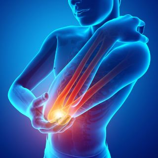 ellenbogen-shutterstock