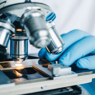 knorpel-shutterstock.mikro