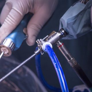 knorpel-op-shutterstock