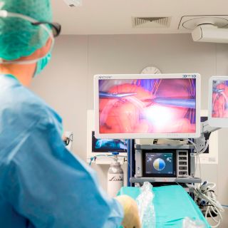 laparoskopie-neu-prof-ganzer 