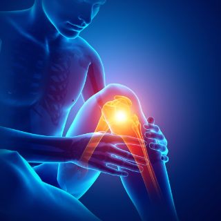 knie-shutterstock03