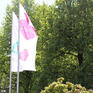 tag-pflege-IMG_4301